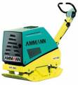     AMMANN    